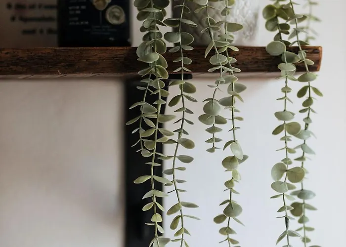 Casa Met Prive Patio