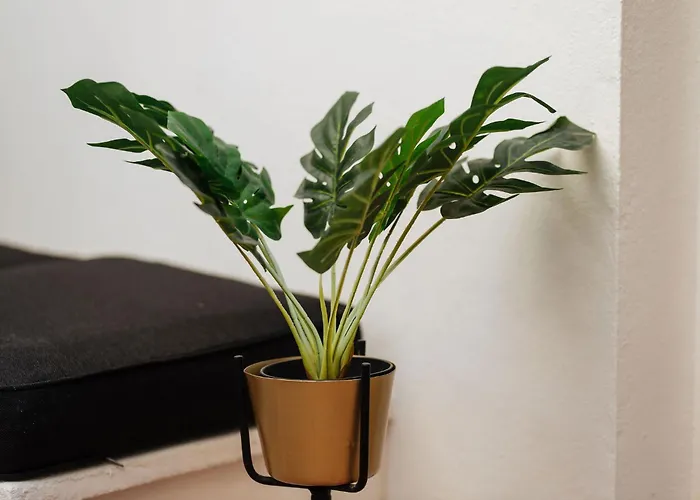 Casa Met Prive Patio